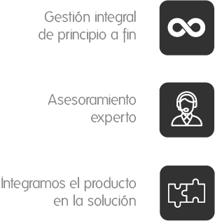 gestion integral de proyectos